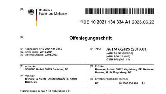 Patent DE102021134334A1